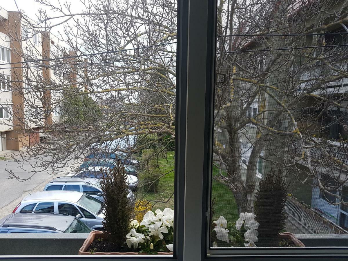 Mona Apartman Keszthely Zewnętrze zdjęcie